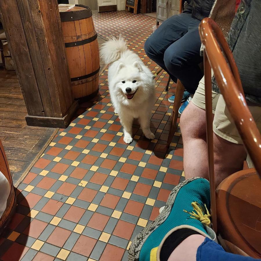 Trawden Arms Community Owned Pub 호텔 Winewall 외부 사진
